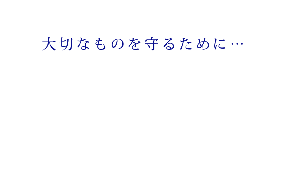 JAPAN SECURITY SERVICE